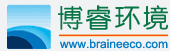 www.braineeco.com